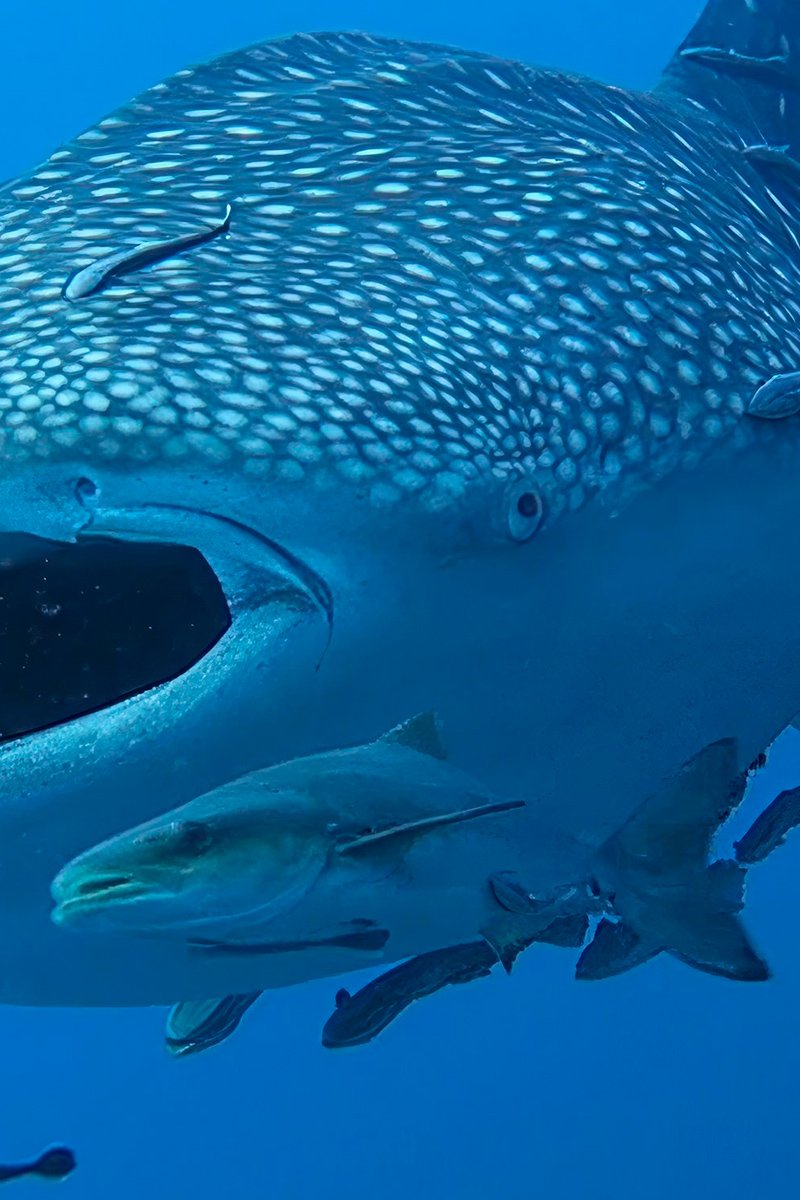 casa-del-things-to-do-01_m