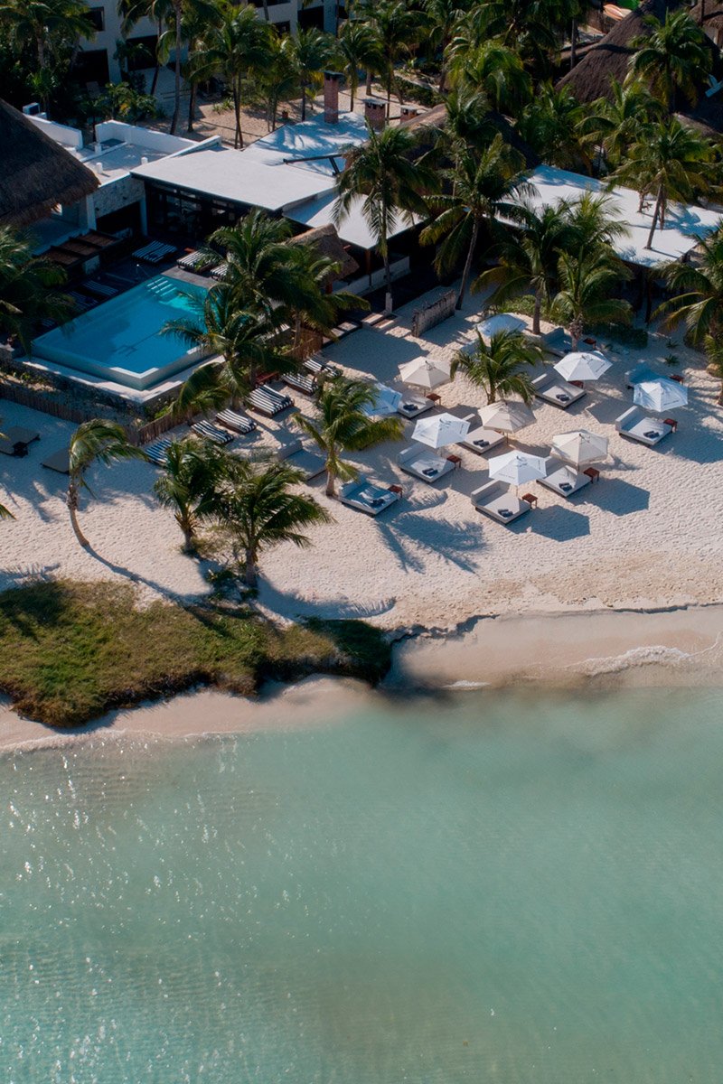 cdj_about_122025_01_c