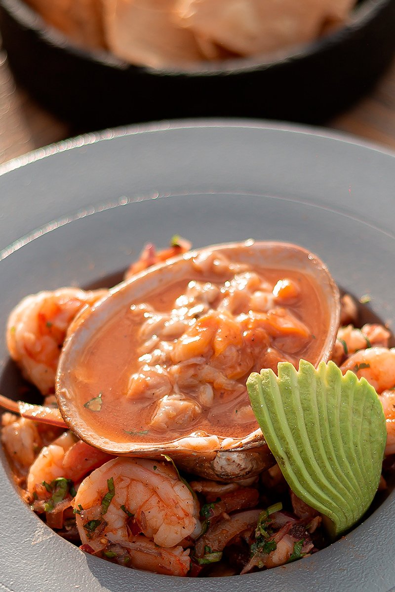 cdj_oceanus_122025_01_c